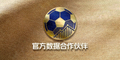 国际知名足球联赛官方数据合作伙伴Logo
