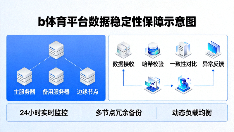 b体育平台数据稳定性保障示意图展示服务器节点与数据校验流程